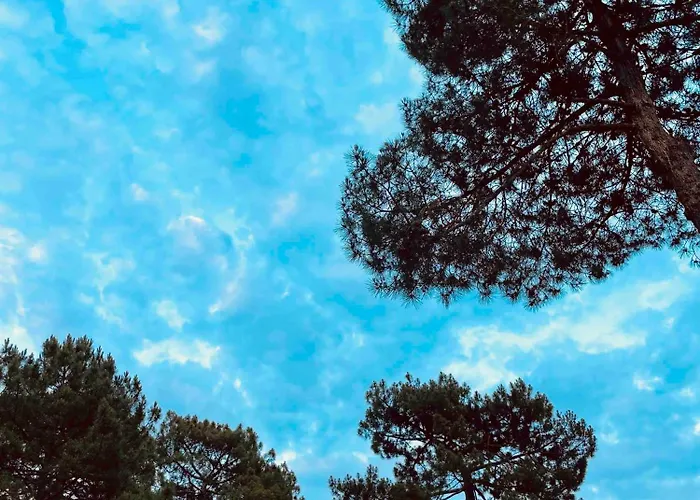 Le Penon_maison Patio